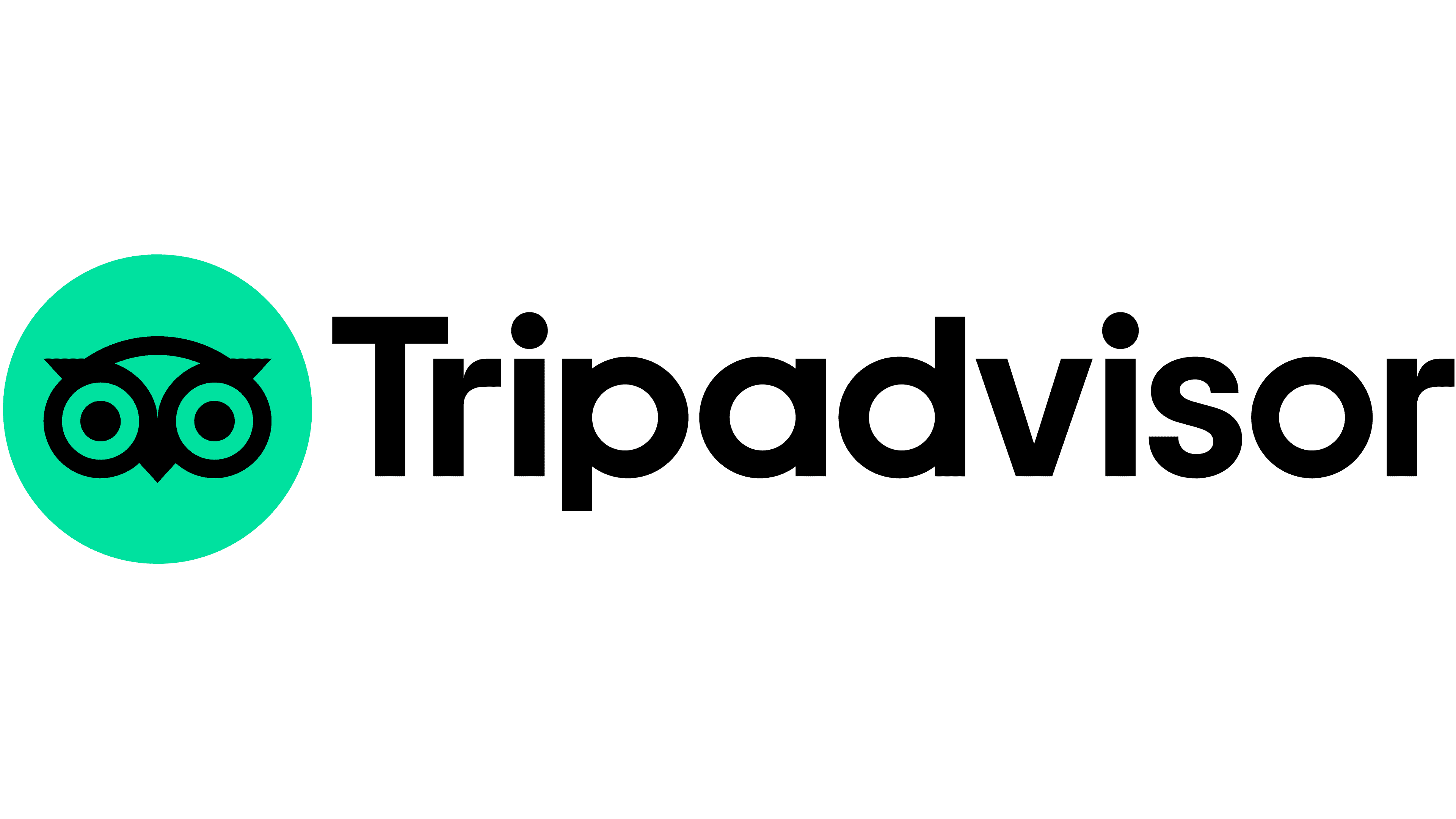 logo trip advisor